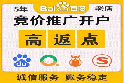 百度竞价托管运营成功案例解析